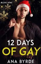 12 Days of Gay by Ana Byrde