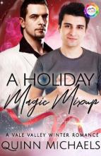 A Holiday Magic Mixup by Quinn Michaels