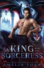 A King for the Sorceress by Amelia Shaw