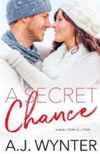 A Secret Chance by A.J. Wynter