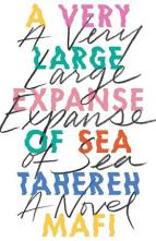 A Very Large Expanse of Sea by Tahereh Mafi