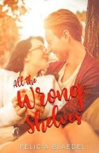All the Wrong Shelves by Felicia Blaedel