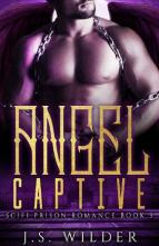 Angel Captive by J.S. Wilder