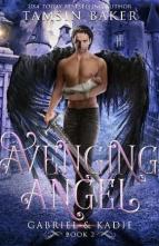 Avenging Angel by Tamsin Baker