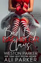 Bad Boy Bachelor Claus by Ali Parker