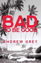 Bad to Be Good by Andrew Grey