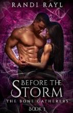 Before the Storm by Randi Rayl