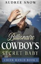 Billionaire Cowboy’s Secret Baby by Audree Snow