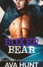 Boxer Bear by Ava Hunt