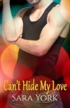 Can’t Hide My Love by Sara York