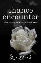 Chance Encounter by Skye Black