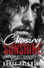 Chasing Sunshine by Honey Palomino