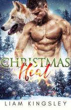 Christmas Heat by Liam Kingsley