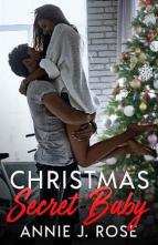 Christmas Secret Baby by Annie J. Rose