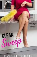 Clean Sweep by Evie Mitchell