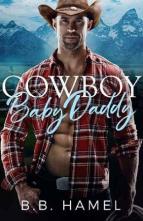 Cowboy Baby Daddy by B. B. Hamel