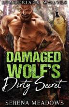 Damaged Wolf’s Dirty Secret by Serena Meadows