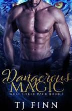 Dangerous Magic by TJ Finn