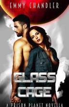 Glass Cage by Emmy Chandler