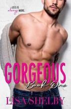 Gorgeous, Book #1 by Lisa Shelby
