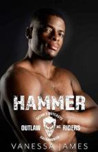 Hammer by Vanessa James