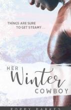 Her Winter Cowboy by Poppy Parkes