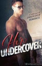 Hero Undercover by Annabel Joseph et al