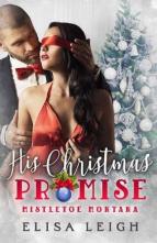 His Christmas Promise by Elisa Leigh