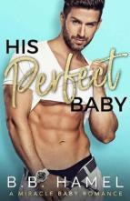 His Perfect Baby by B. B. Hamel