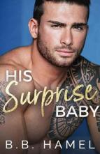 His Surprise Baby by B. B. Hamel