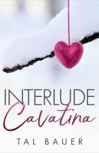 Interlude: Cavatina by Tal Bauer
