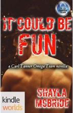 It Could Be Fun by Shayla McBride