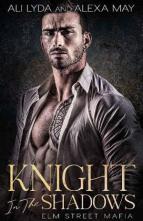 Knight in the Shadows by Ali Lyda