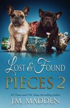 Lost and Found Pieces 2 by J.M. Madden