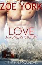 Love in a Snow Storm by Zoe York