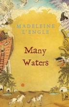 Many Waters by Madeleine L’Engle