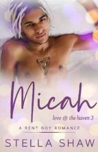 Micah by Stella Shaw