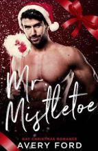 Mr. Mistletoe by Avery Ford