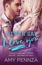 Never Say I Love You by Amy Pennza
