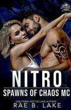 Nitro by Rae B. Lake
