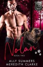 Nolan by Ally Summers