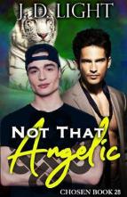 Not that Angelic by J.D. Light