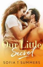 Our Little Secret by Sofia T. Summers