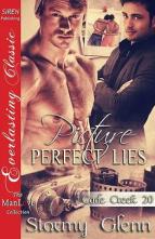 Picture-Perfect Lies by Stormy Glenn