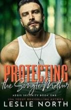 Protecting the Single Mother by Leslie North