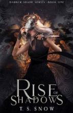 Rise of Shadows by T.S. Snow