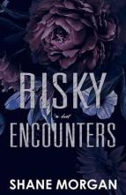 Risky Encounters by Shane Morgan