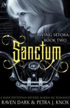 Sanctum by Raven Dark