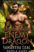 Second Chance Enemy Dragon by Samantha Leal