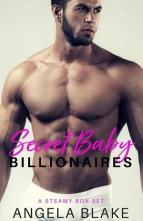 Secret Baby Billionaires by Angela Blake